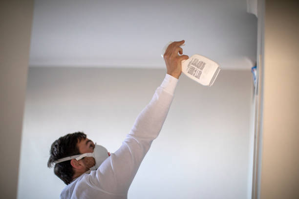 Best Emergency Mold Removal  in Greenville, IN