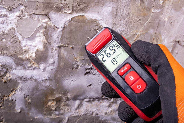 Best Commercial Mold Removal  in Greenville, IN