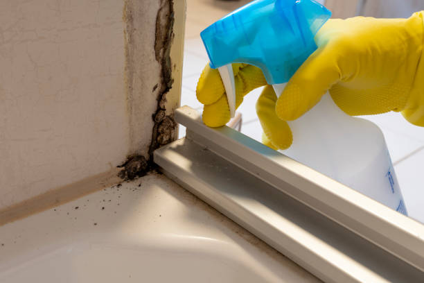 Best Emergency Mold Removal  in Greenville, IN