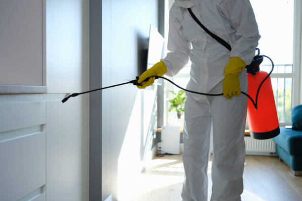 Best Fast Mold Removal  in Greenville, IN